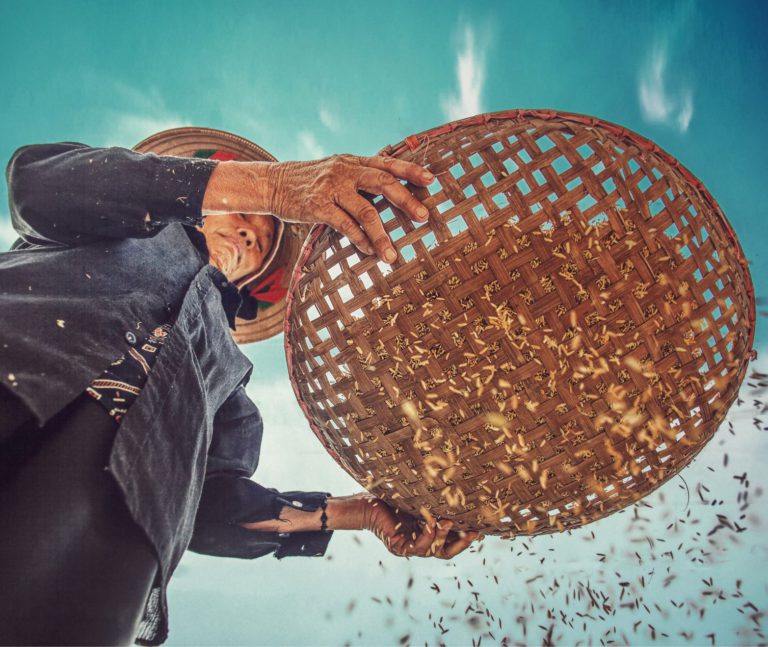 Happy Spring from Producers Market