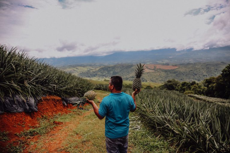 What Makes Producers Market Different?