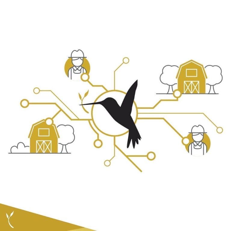 Digitizing the Value Chain