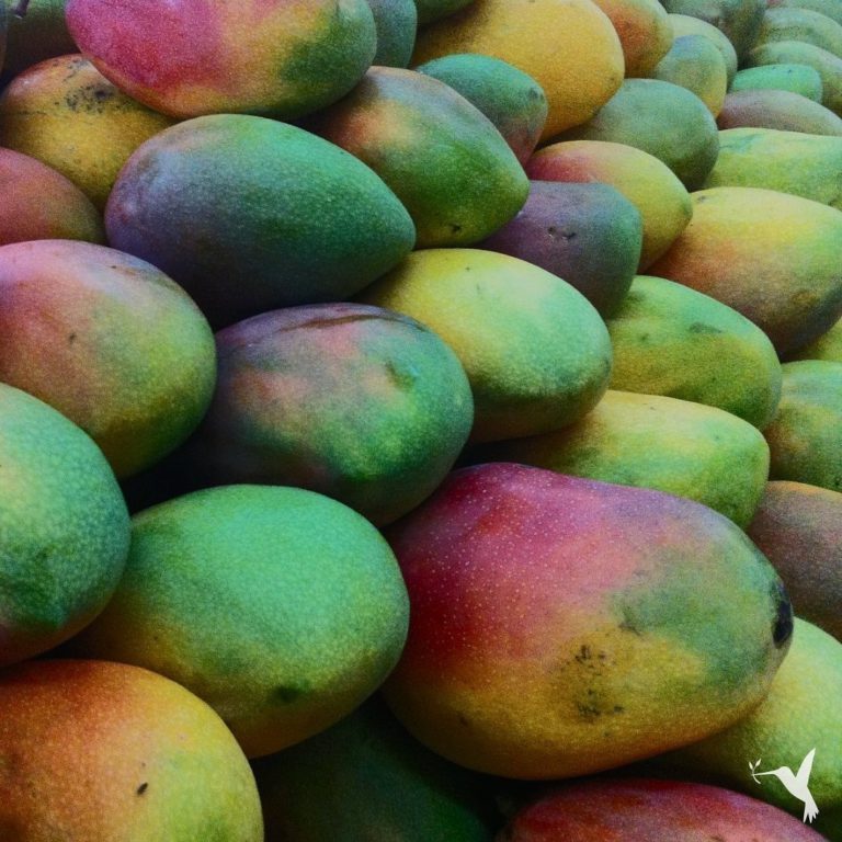 What does it mean to know your source?