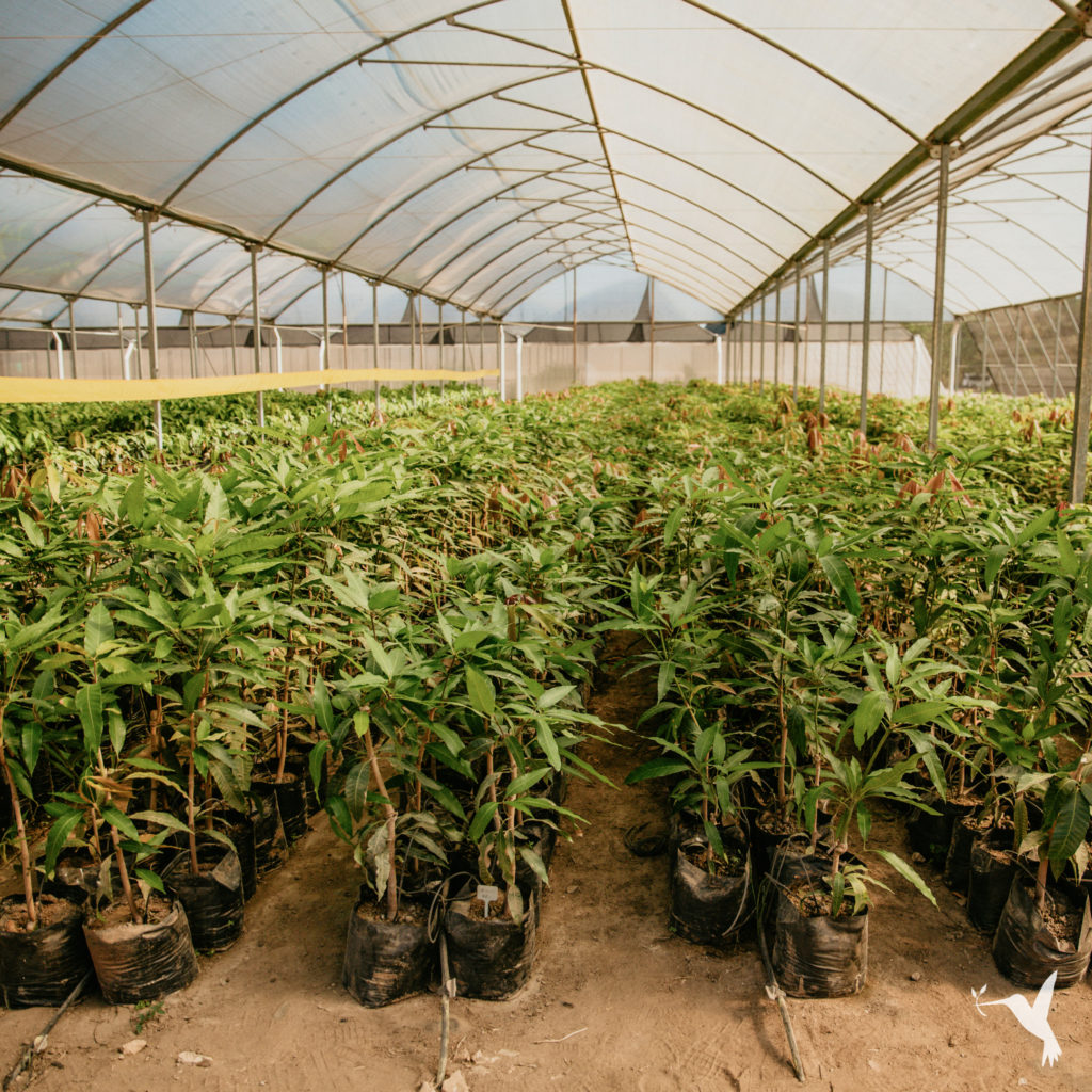 simply natural producers market