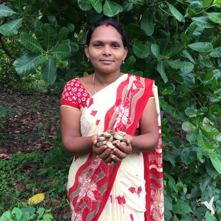 How Education Leads to Farmer Empowerment