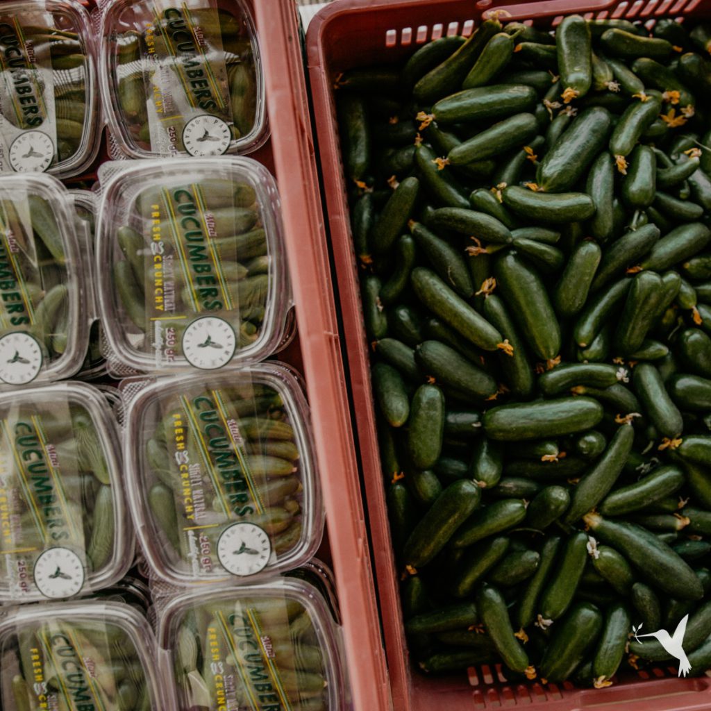 producers market
