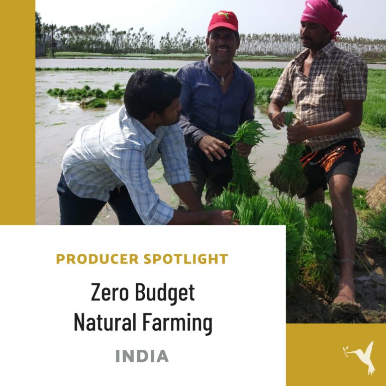 Producers Spotlight: Rythu Sadhikara Samstha