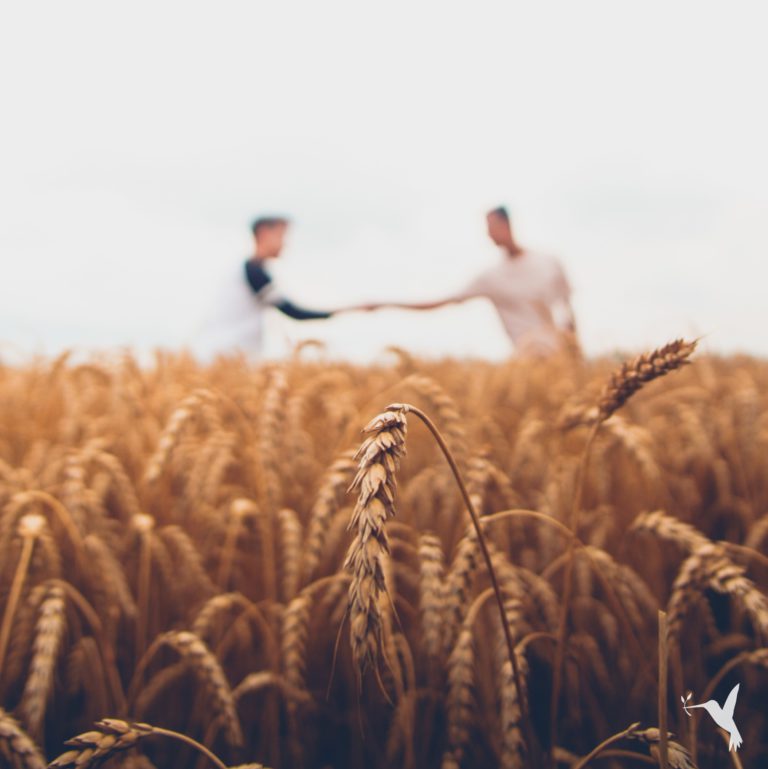 Evolving Agricultural Value Chains