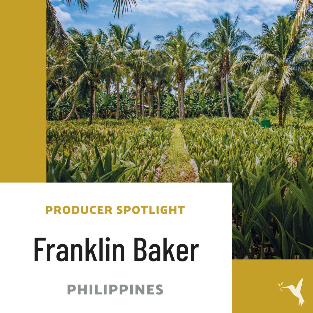 Franklin-Baker-Philippines-coconuts-Producers Market