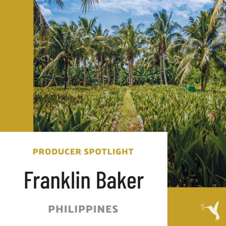 Franklin-Baker-Philippines-coconuts Producers Market
