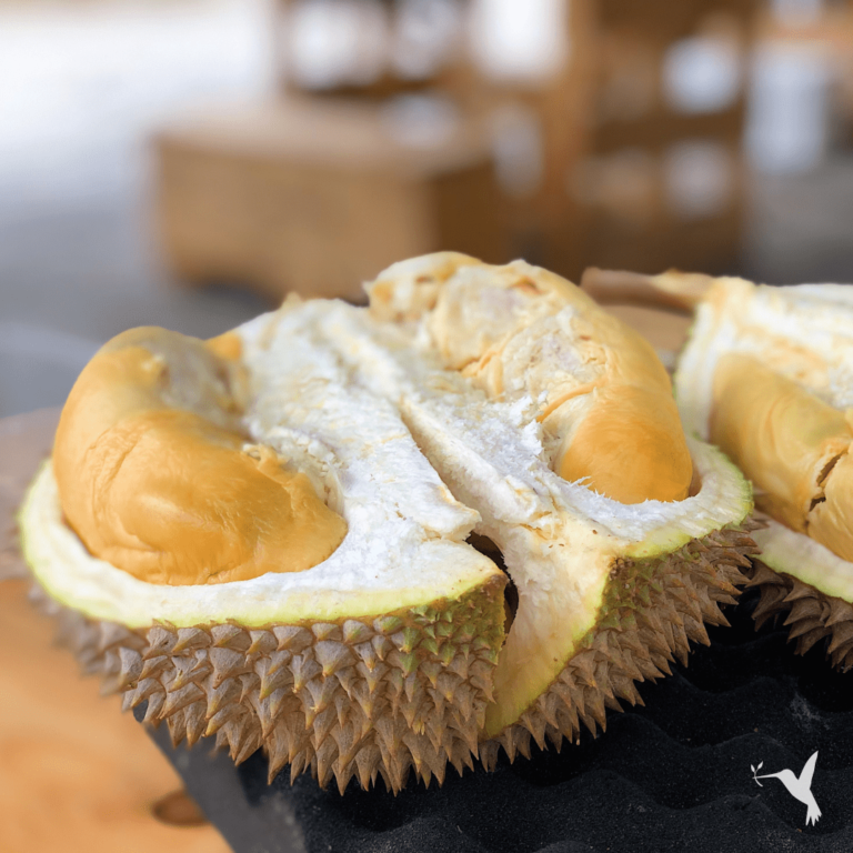 A Visit to Butuan City (aka “Durian City”)