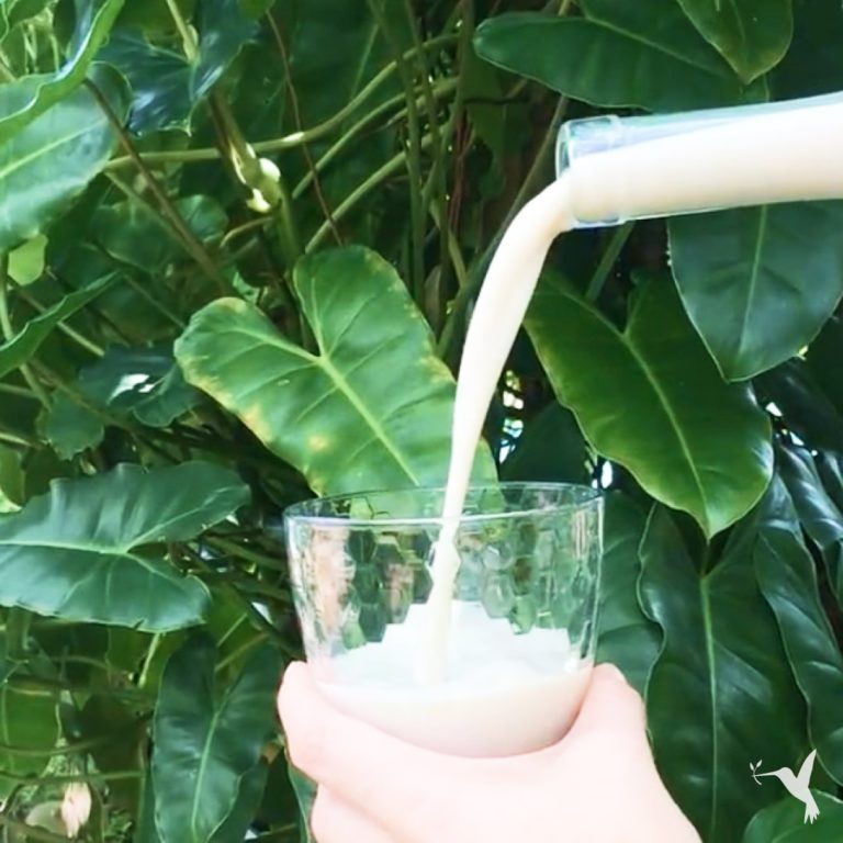 How to Make Homemade Almond Milk