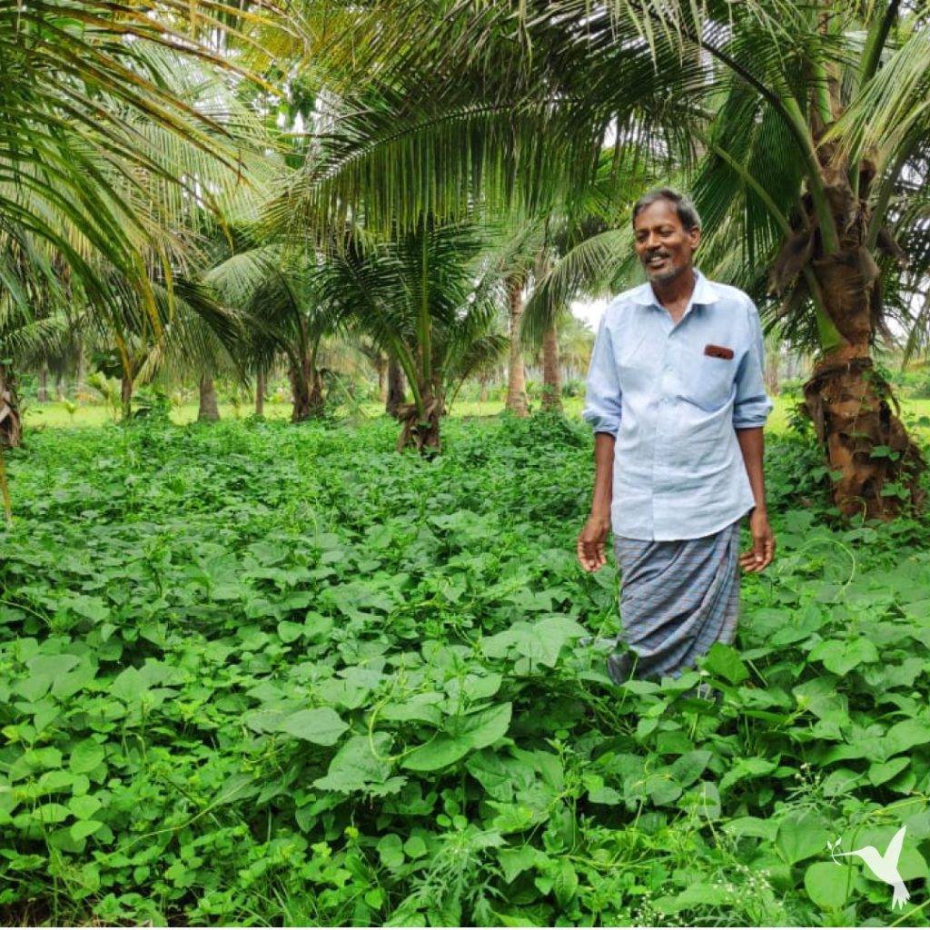 Impacting-Millions-of-Farmers-2-1024x1024
