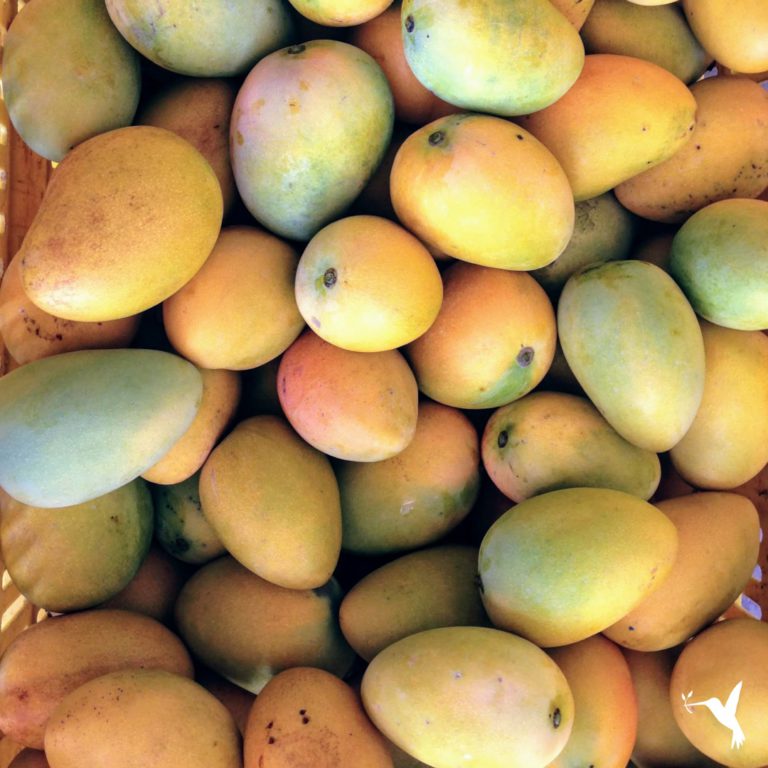 Product Spotlight: Simply Natural Farms Mango