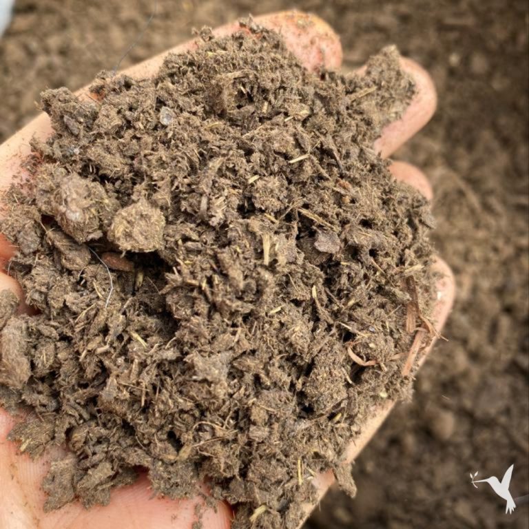 Producers Market Commits to Regenerative Agriculture