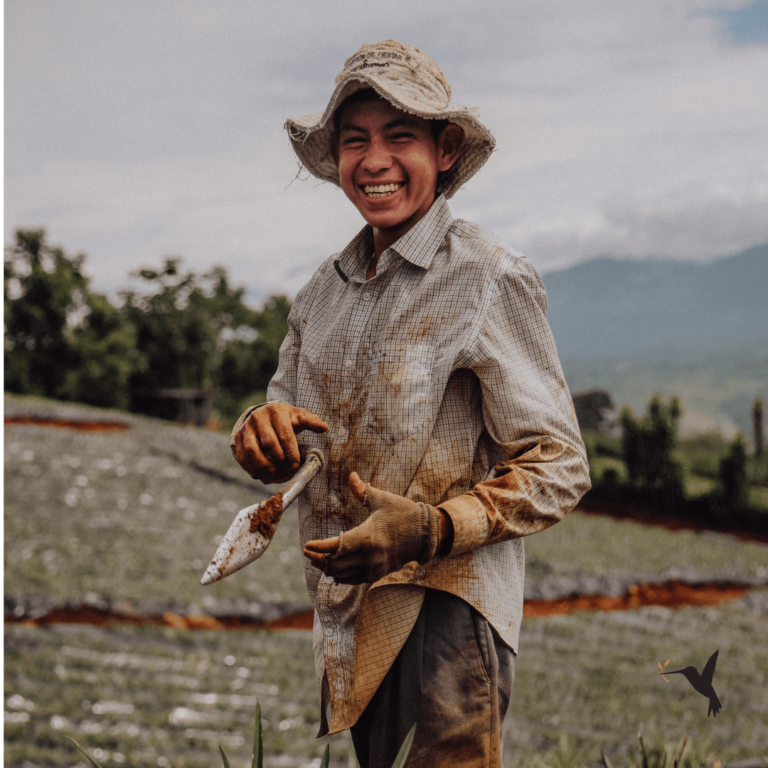 producers market farmer