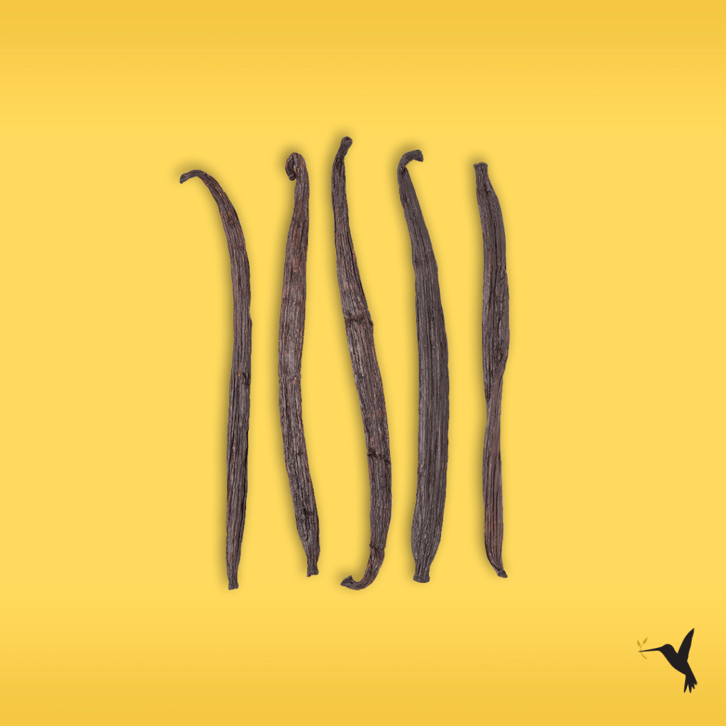 True-Value-Vanilla 1024x1024