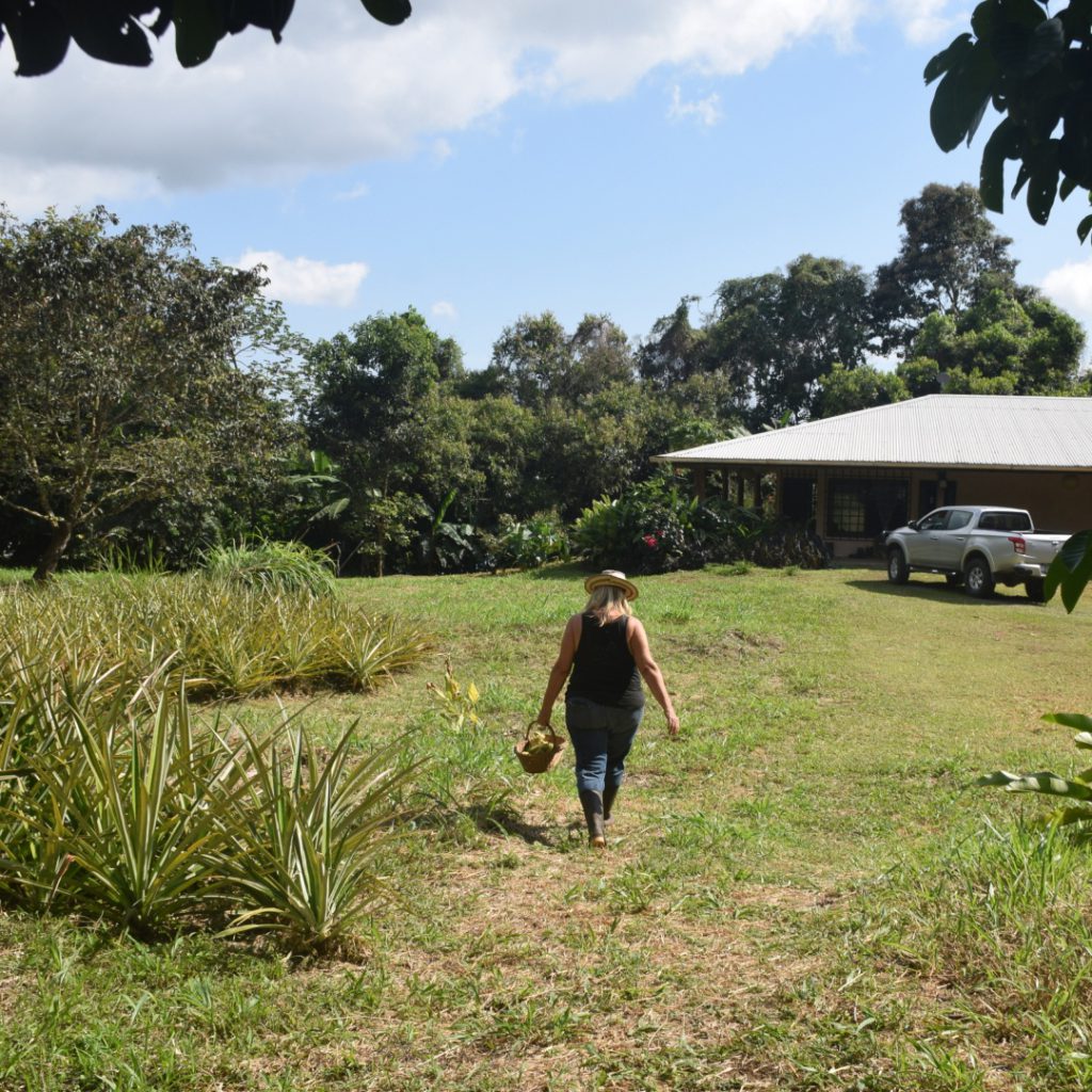 Week-in-Art-Farm-Panama-Lyn-1024x1024