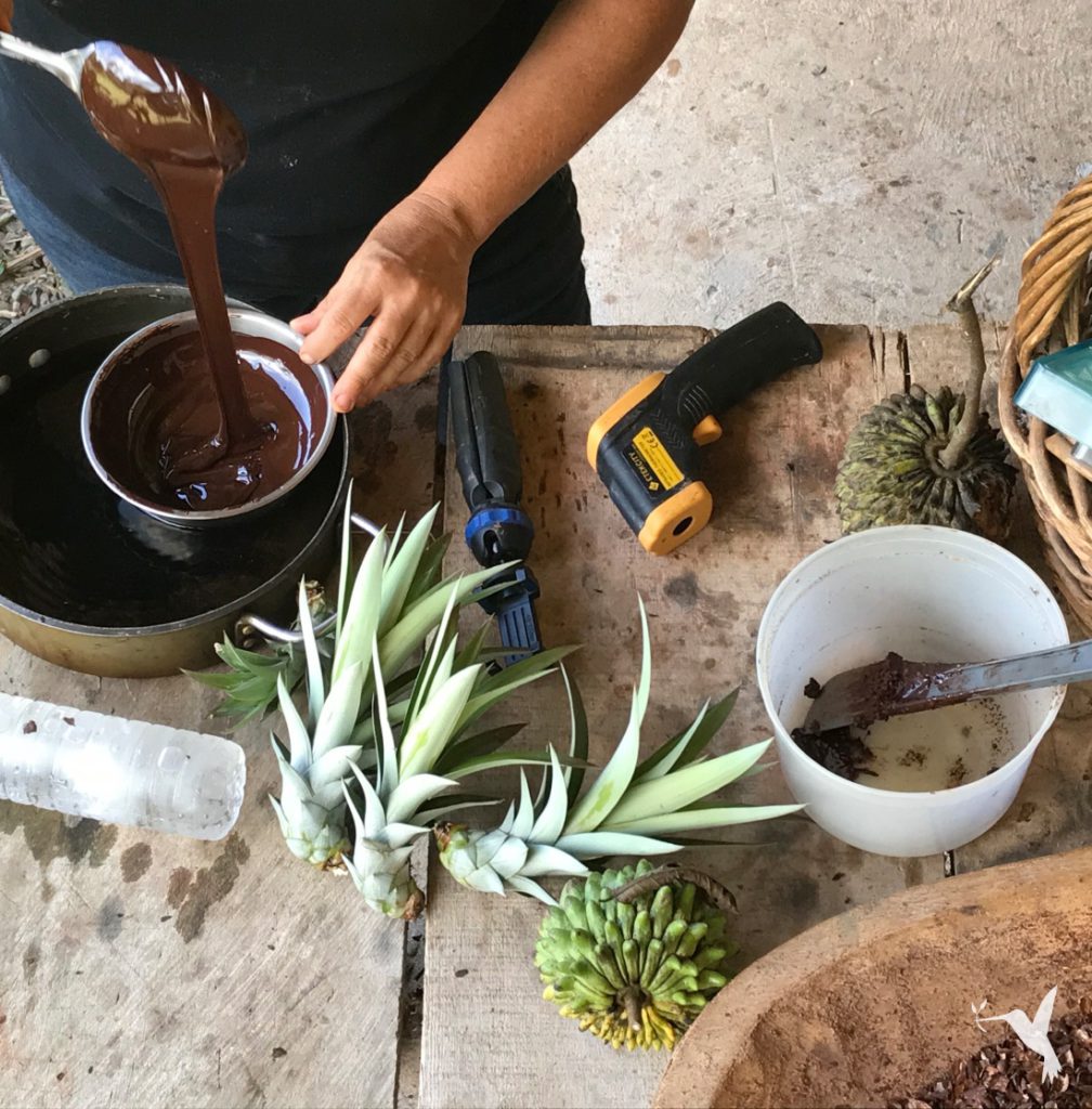 Week-in-Art-Farm-Panama-Producers-Market-cacao-1008x1024