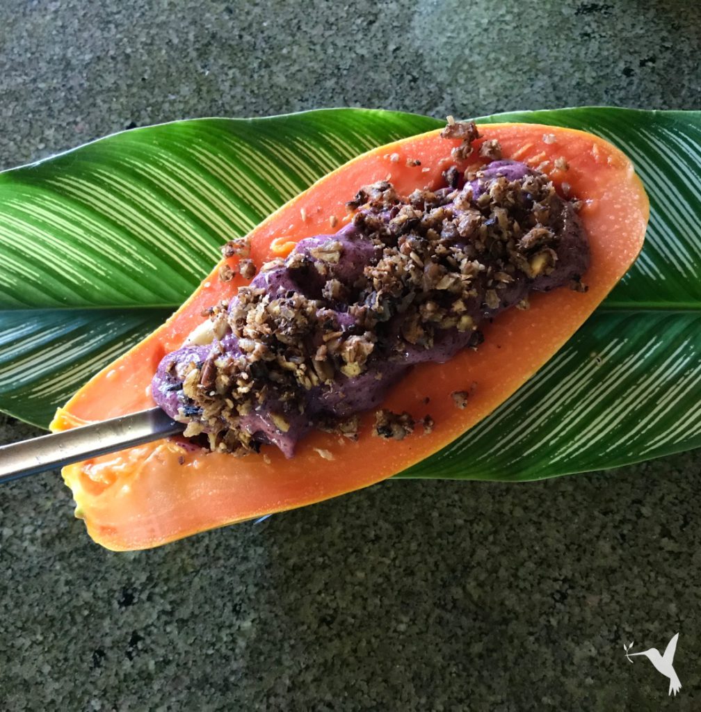 Week-in-Art-Farm-Panama-Producers-Market-papaya-1008x1024