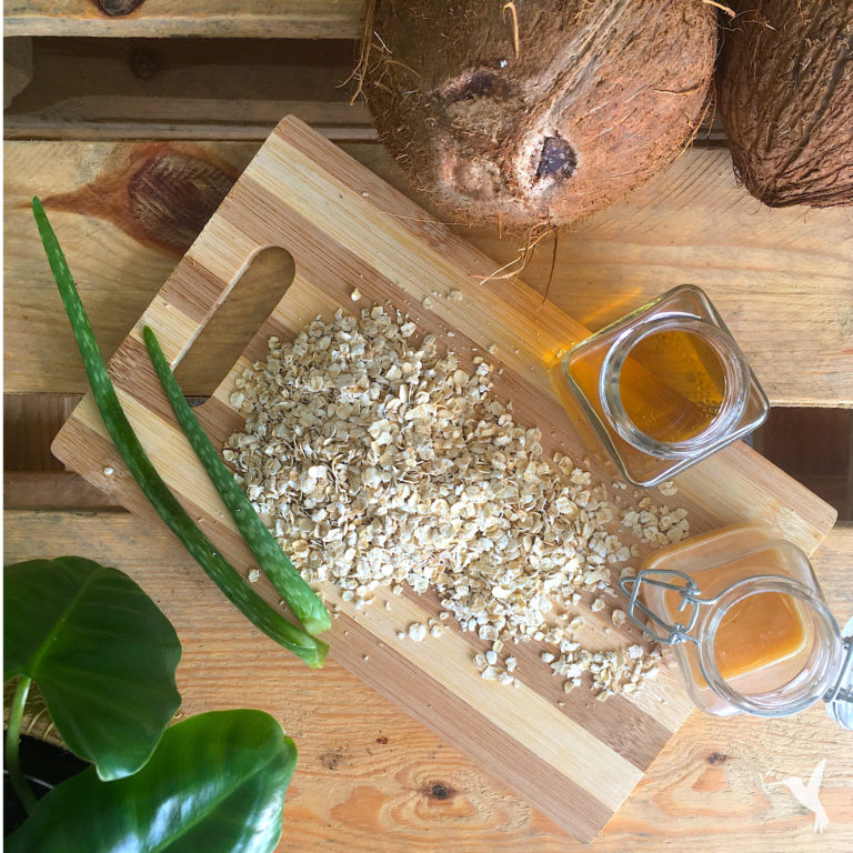 coconut-honey-aloe-vera-apple-cider-vinegar-beauty-you-can-eat