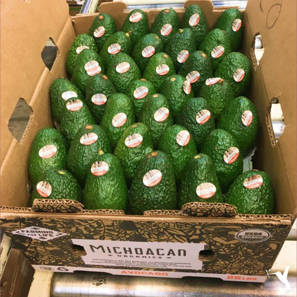michoacan-organics-avocado-logistics 1024x1024