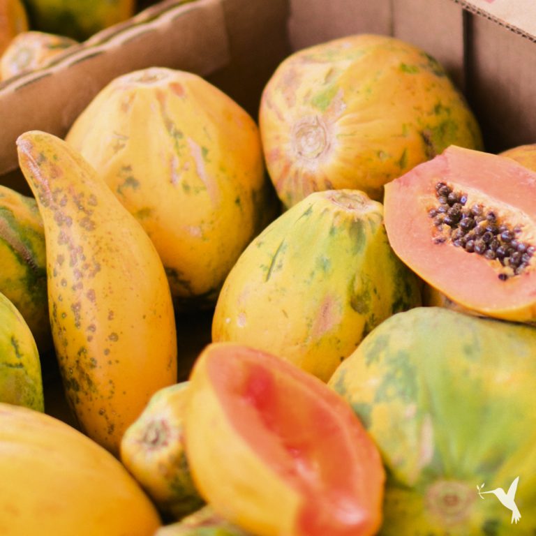 organic-papaya-producers-market