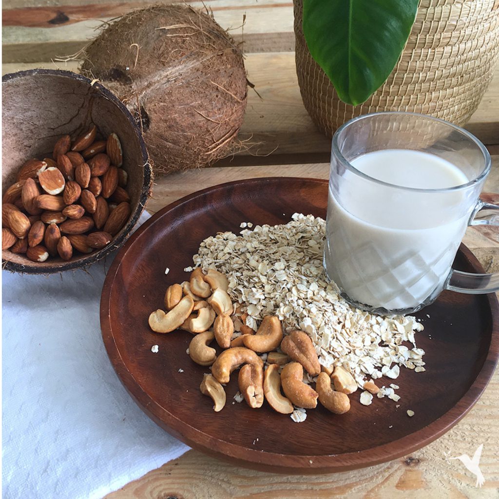 Homemade vs. Store-Bought Plant Milk