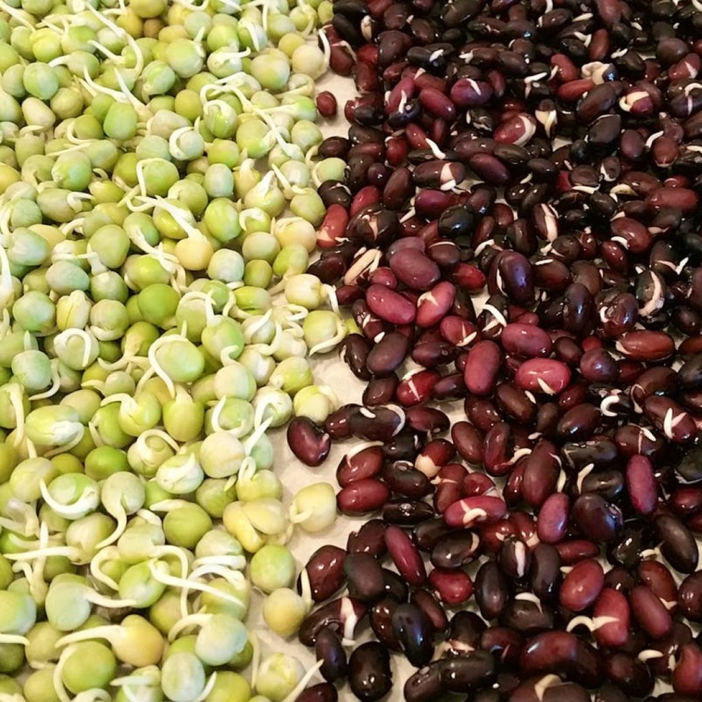 Why-Sprouted-Flour-Should-Be-Your-New-Favorite-Staple-1-1024x1024