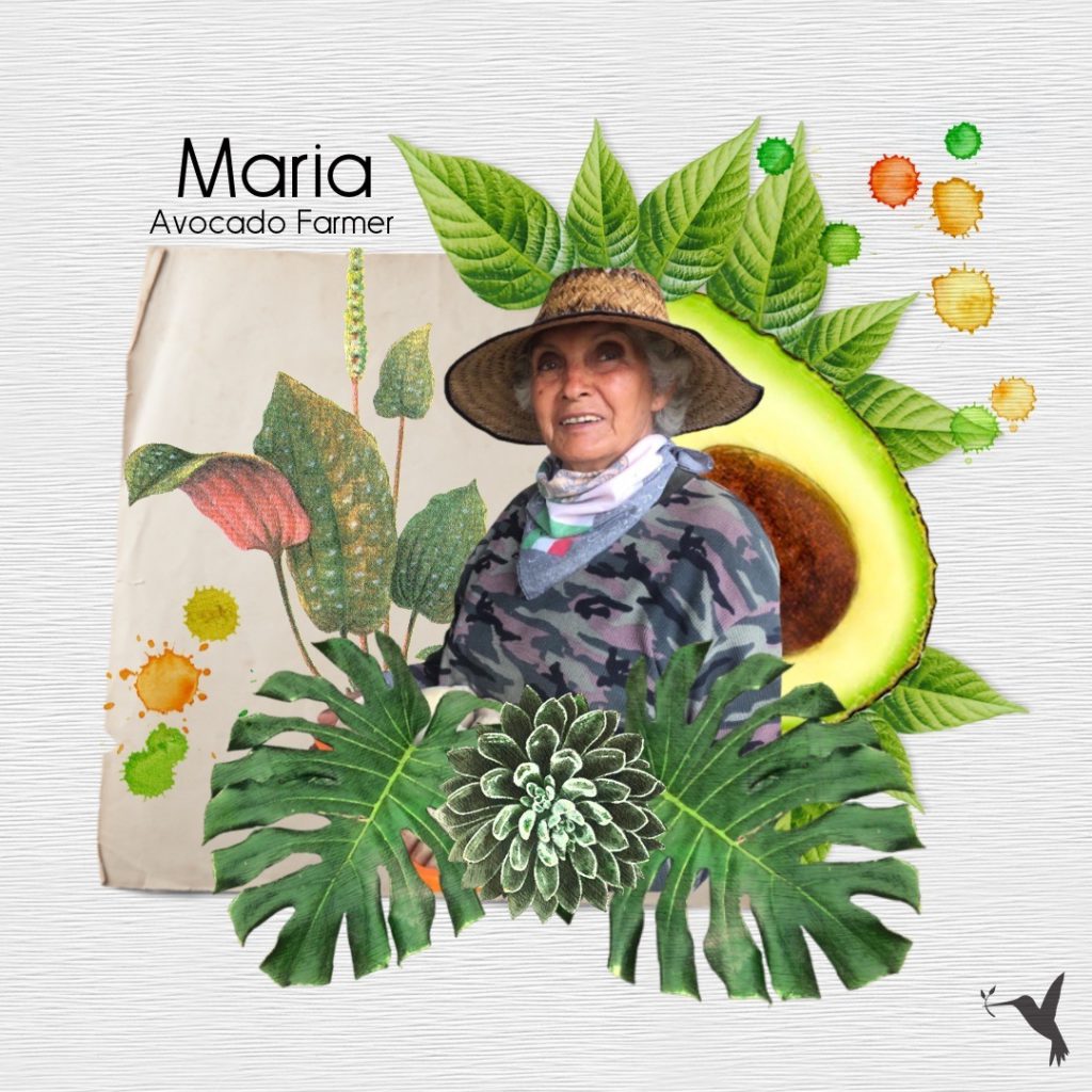 María Álvarez from Michoacan Organics