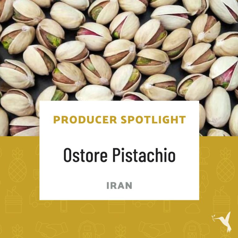 Organic Pistachios from Ostore Salar Kavir in Iran