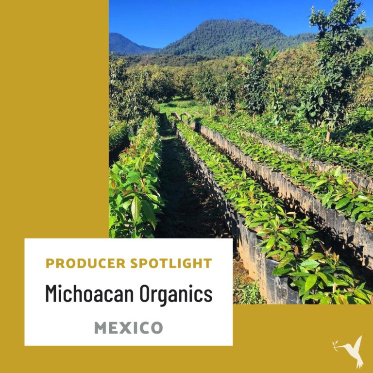 Producers Market Spotlight: Michoacan Organics