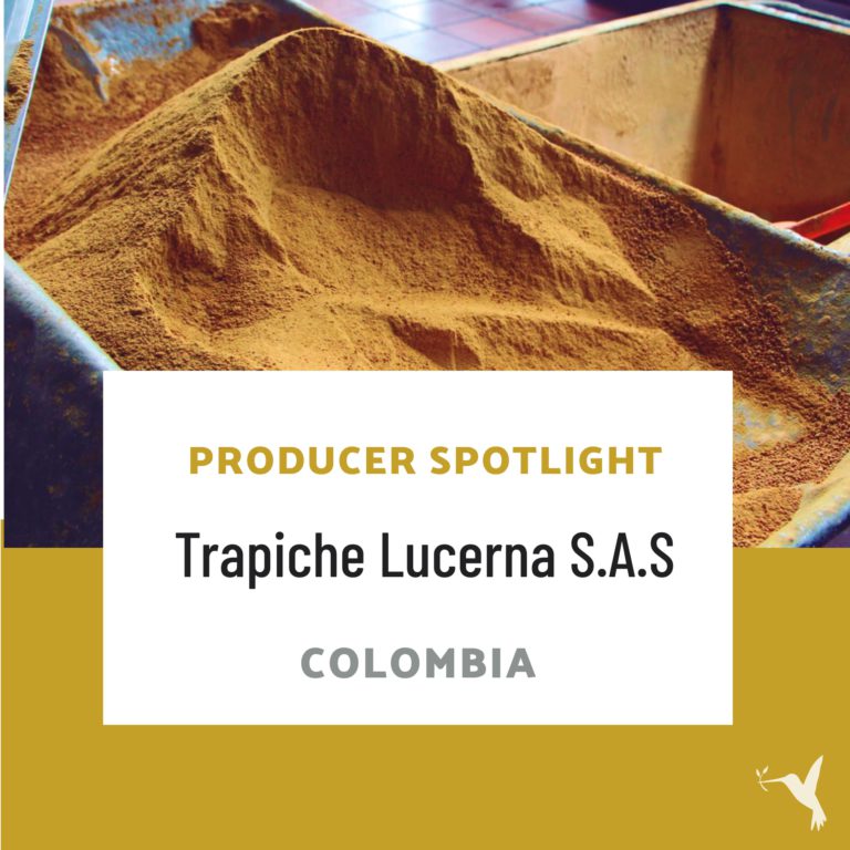 Raw Cane Sugar from Trapiche Lucerna
