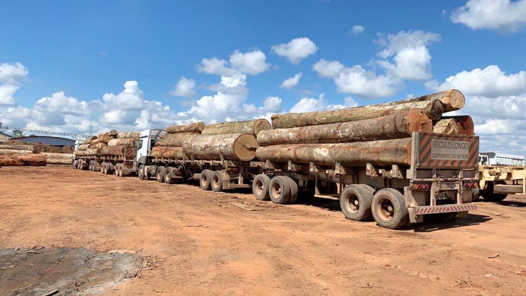 Sustainable forestry