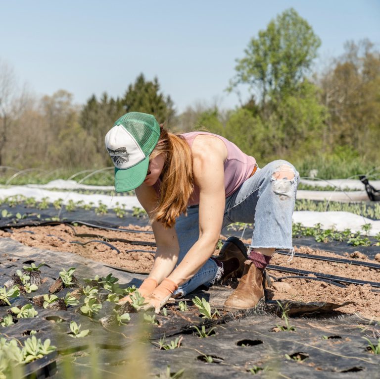 The Faces Behind the Food: Why Transparency Matters