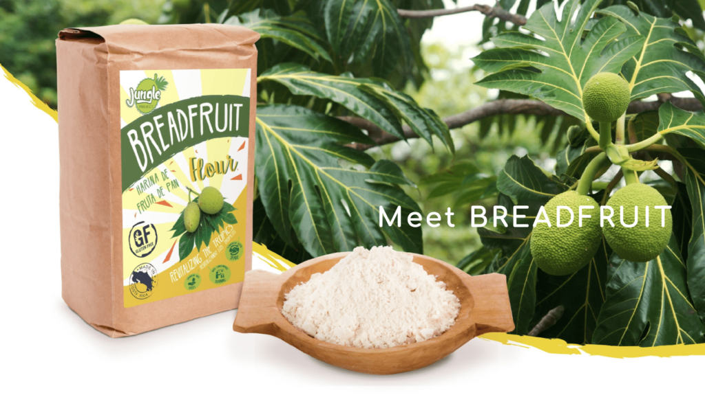Jungle Project breadfruit forestry