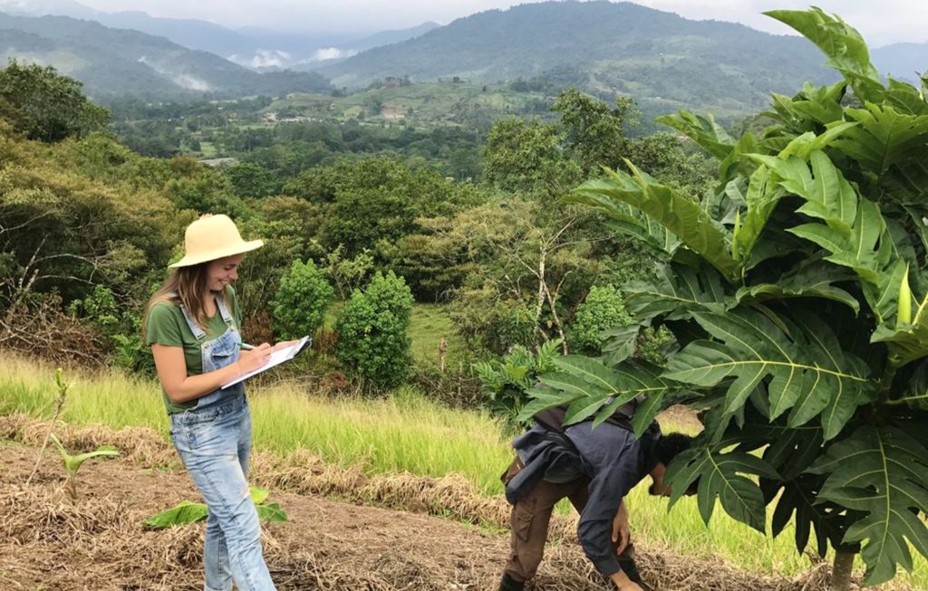 training-jungle-project