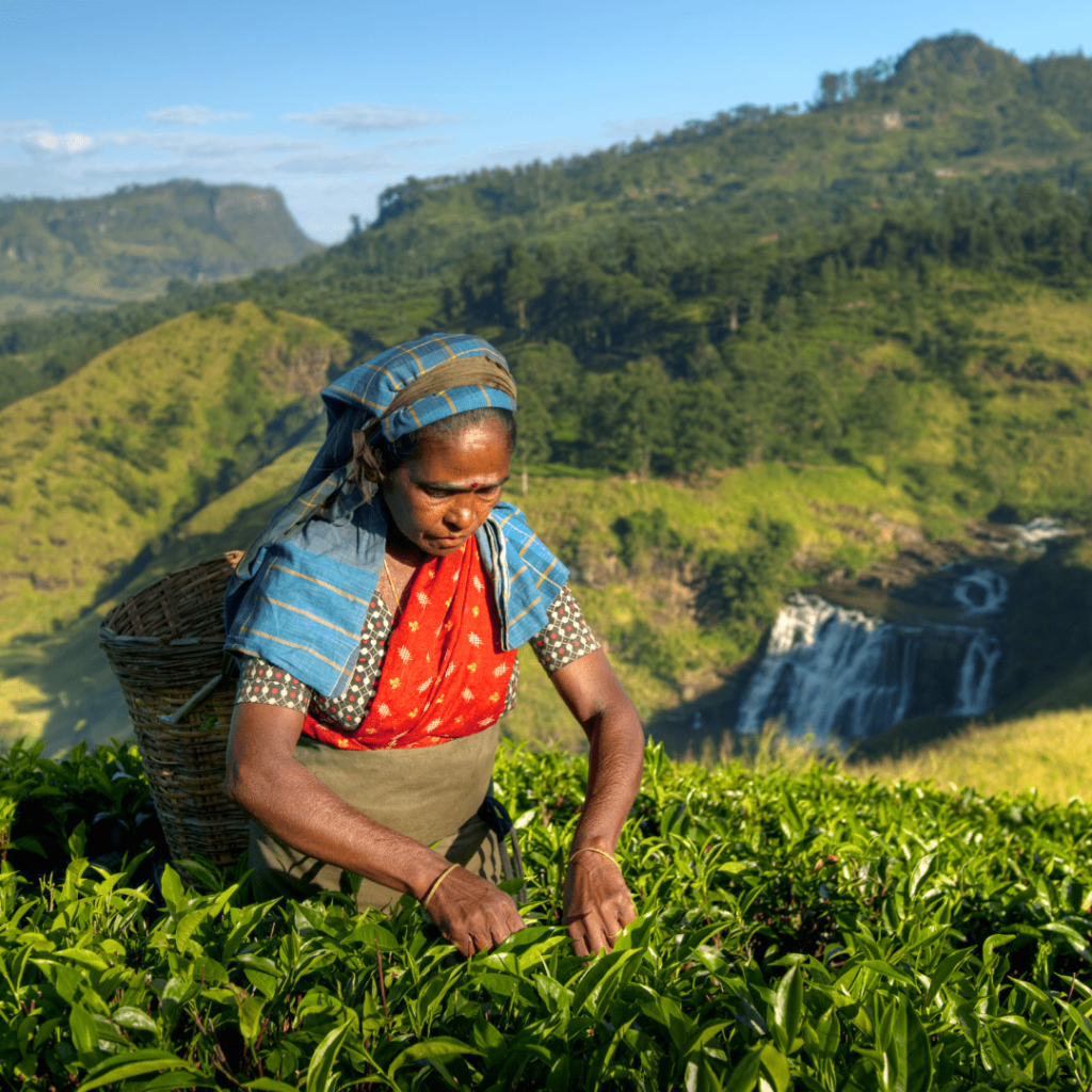 Producers-Market-Why-Do-Food-Costs-Vary-Around-the-World-1-1024x1024