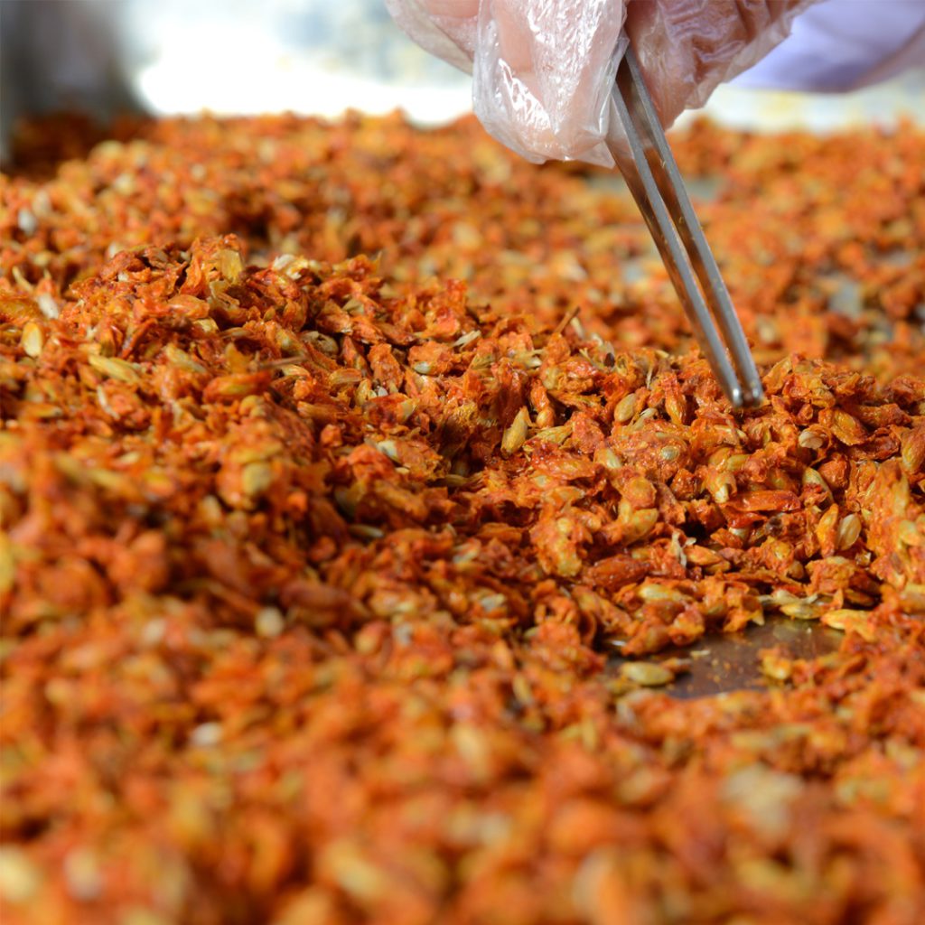 Lhamour’s Sea Buckthorn