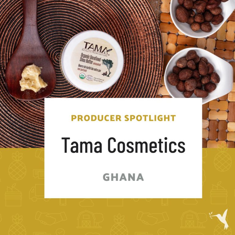 Tama Cosmetics Graphic Spotlight