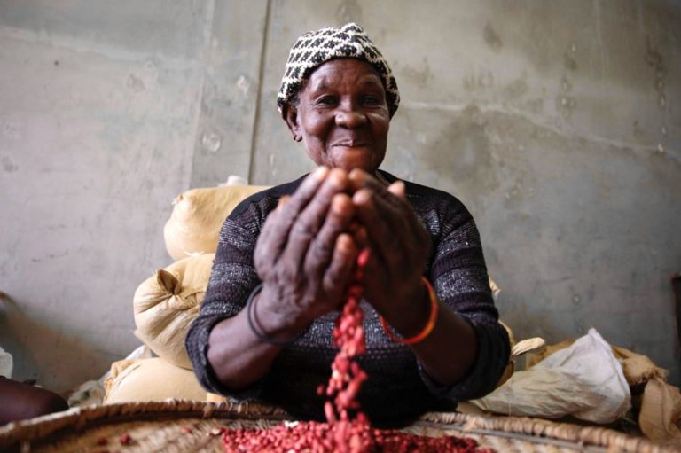 A worker of Lavi Spicy Peanut Butter, a producer with HACCP certification