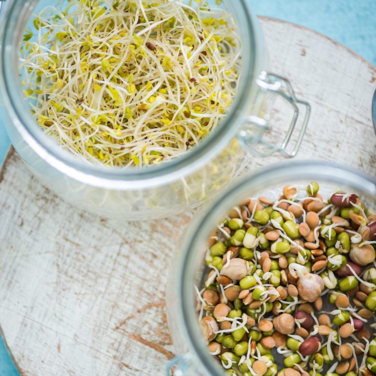 Sprouts in jars
