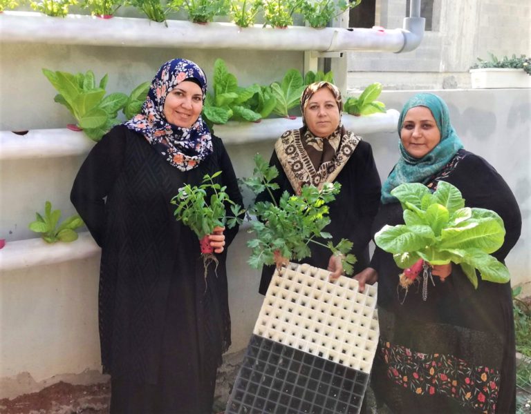 Women from the initiative Sindyanna of Galilee