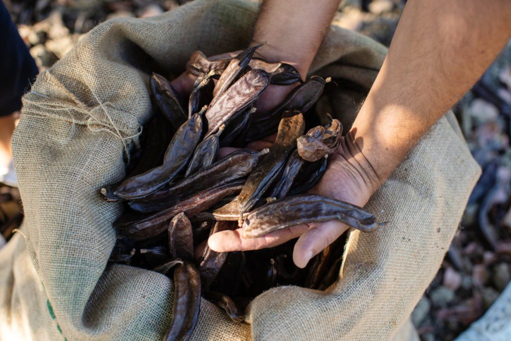 Ciokarrua produces chocolate bars in Sicily Italy