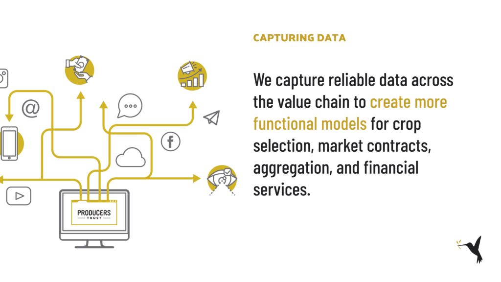 Digital tree of data capture