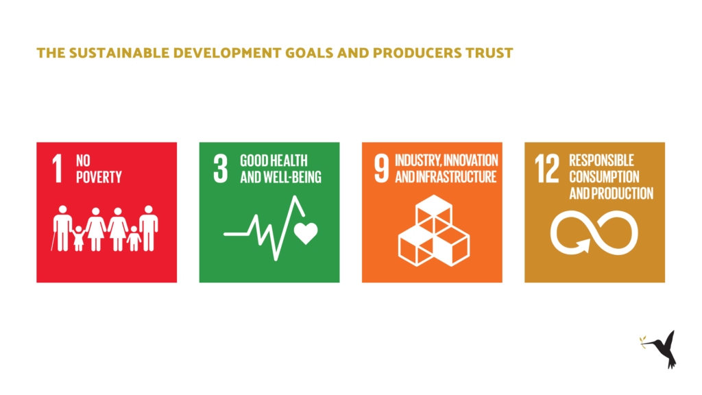 The main Sustainable Development Goals that Producers Trust aims to achieve.