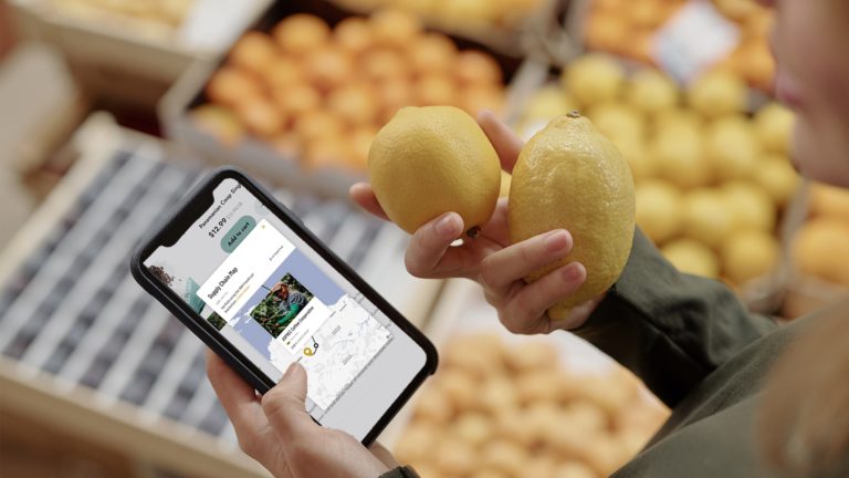 A New Year Message from Our Team