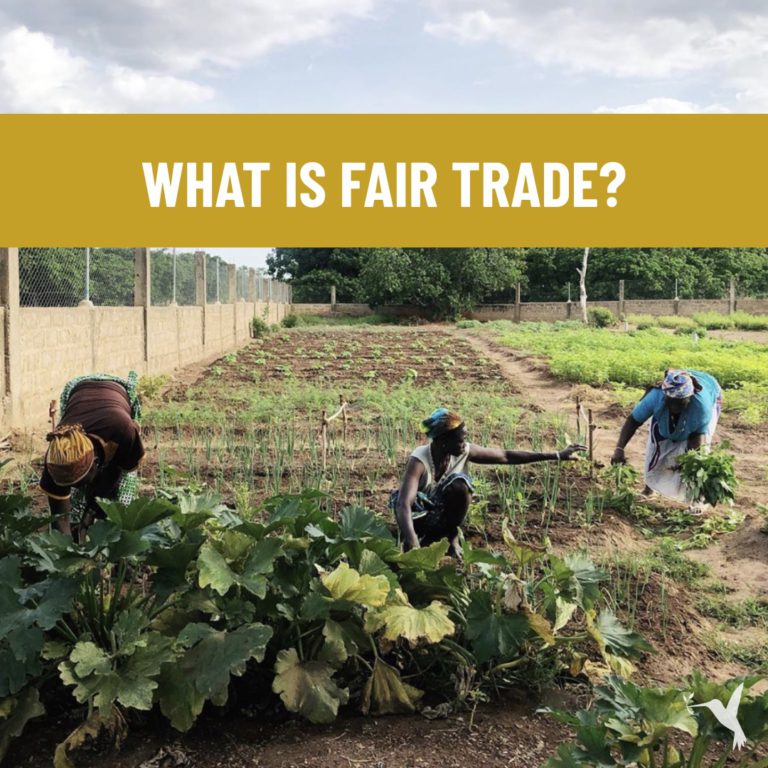 What is fair trade graphic