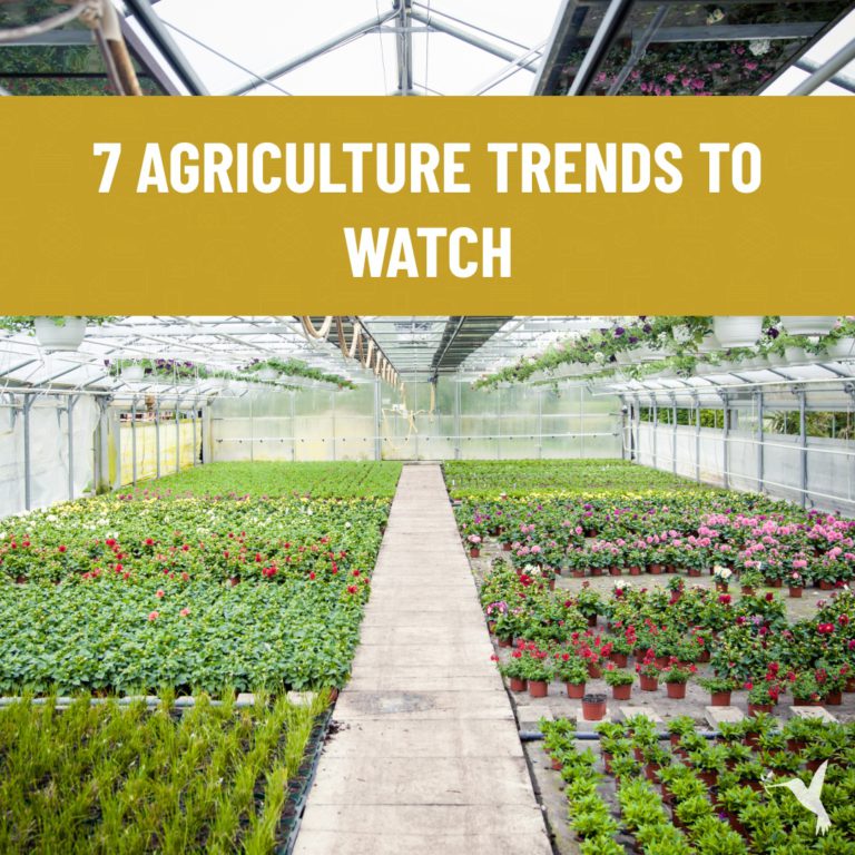 7 agriculture trends to watch