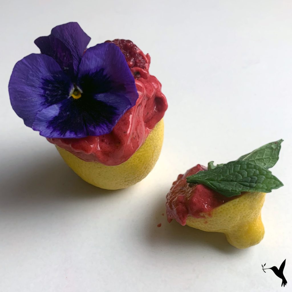 Raw-Vegan-Raspberry-Sorbet-1-1024x1024