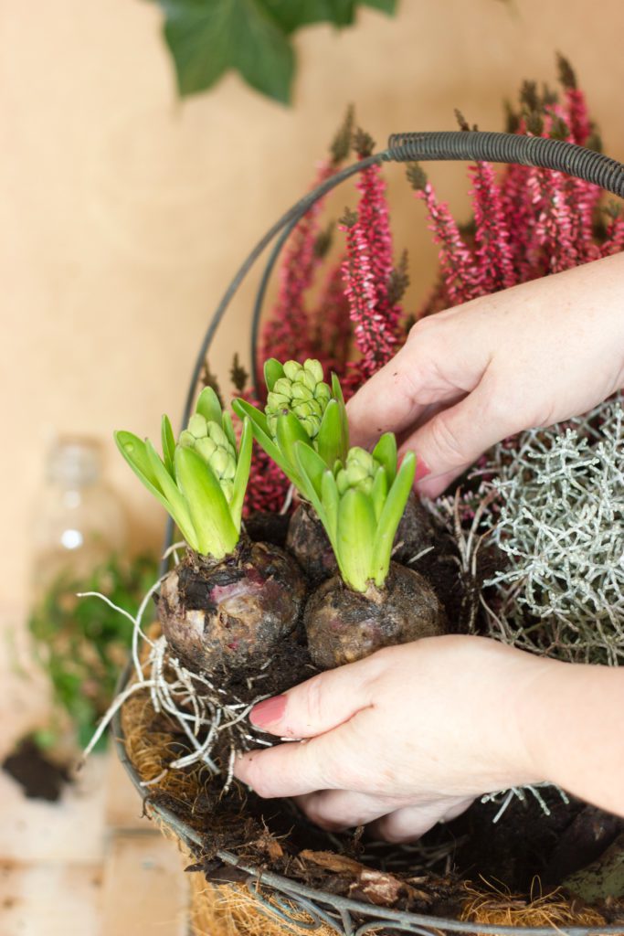 How-to-plant-veggies-683x1024