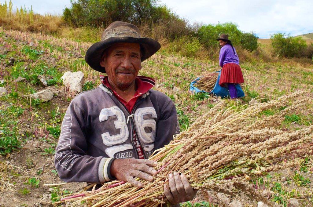 Farmer of Cooperativa Agroindustrial Machupicchu