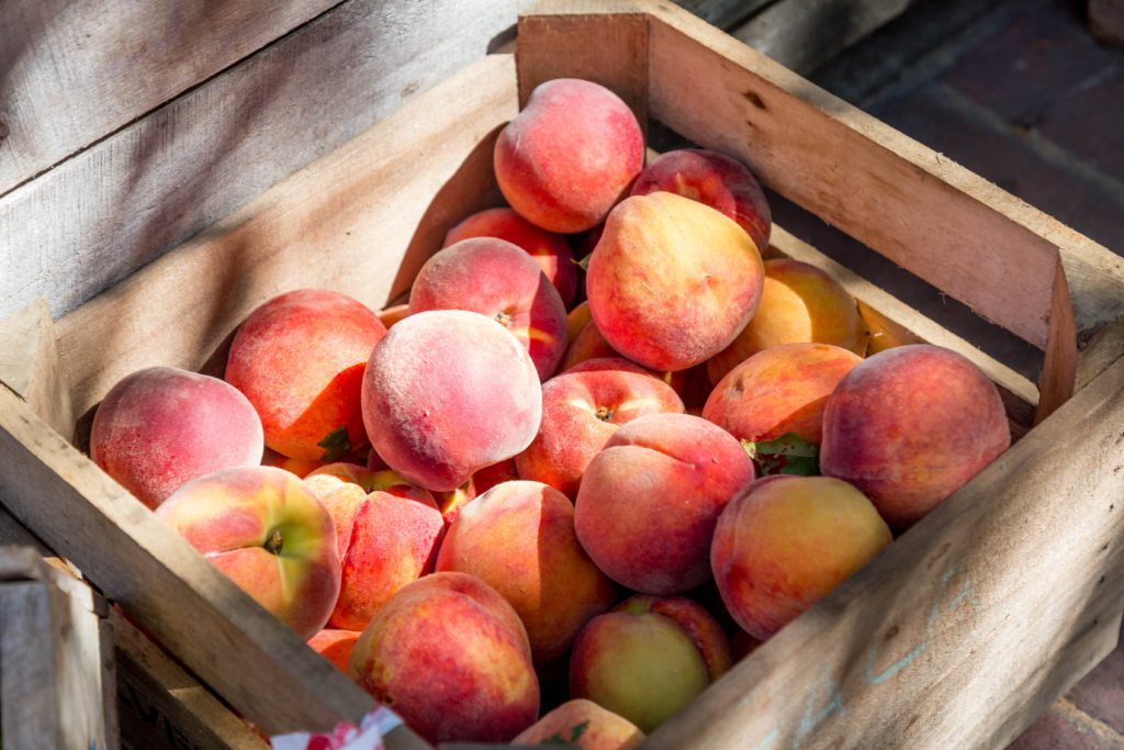 Fruit-box-1024x683